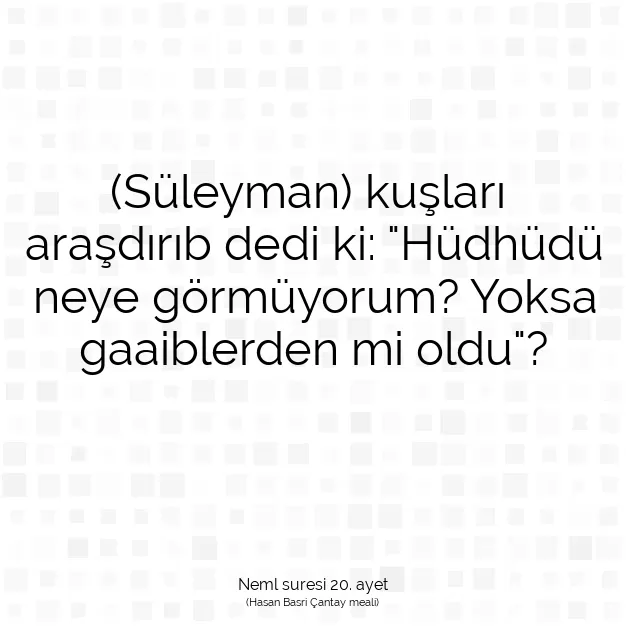 Ayetbul | Kuran Mealleri | Quran | Neml suresi 20. ayet