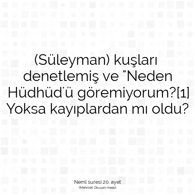 Ayetbul | Kuran Mealleri | Quran | Neml suresi 20. ayet