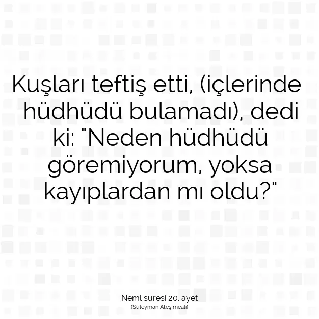 Ayetbul | Kuran Mealleri | Quran | Neml suresi 20. ayet