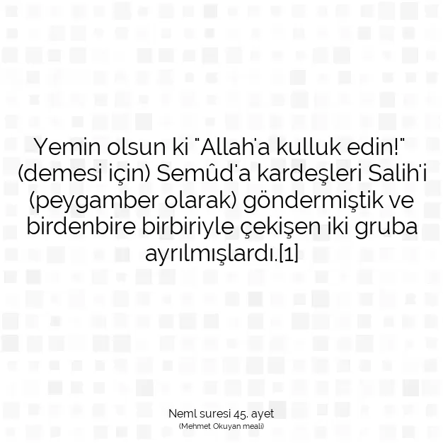 Ayetbul | Kuran Mealleri | Quran | Neml suresi 45. ayet