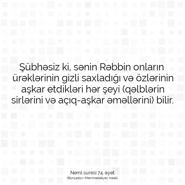 Ayetbul | Kuran Mealleri | Quran | Neml suresi 74. ayet