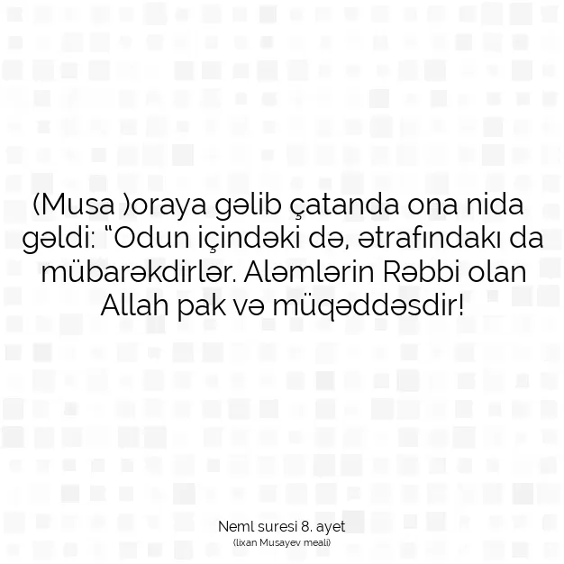 Ayetbul | Kuran Mealleri | Quran | Neml suresi 8. ayet