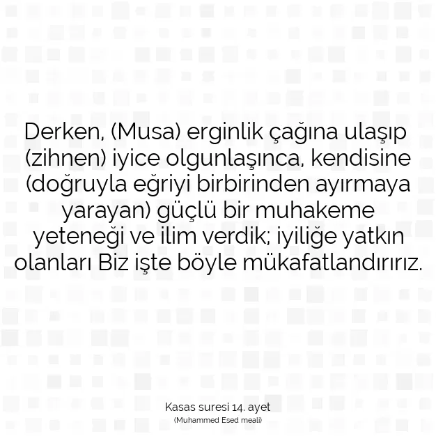 Ayetbul | Kuran Mealleri | Quran | Kasas suresi 14. ayet