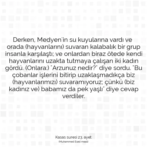 Ayetbul | Kuran Mealleri | Quran | Kasas suresi 23. ayet