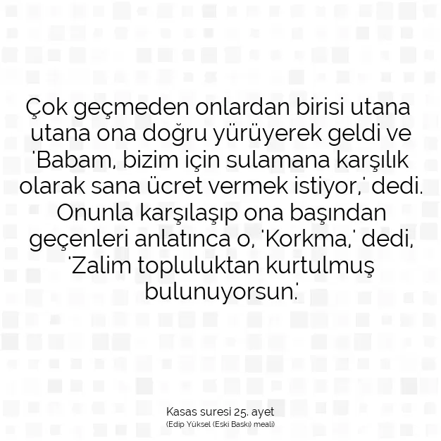 Ayetbul | Kuran Mealleri | Quran | Kasas suresi 25. ayet