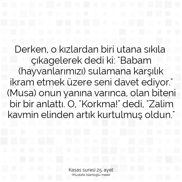 Ayetbul | Kuran Mealleri | Quran | Kasas suresi 25. ayet