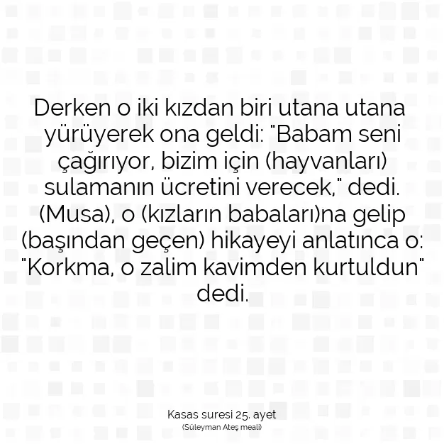 Ayetbul | Kuran Mealleri | Quran | Kasas suresi 25. ayet