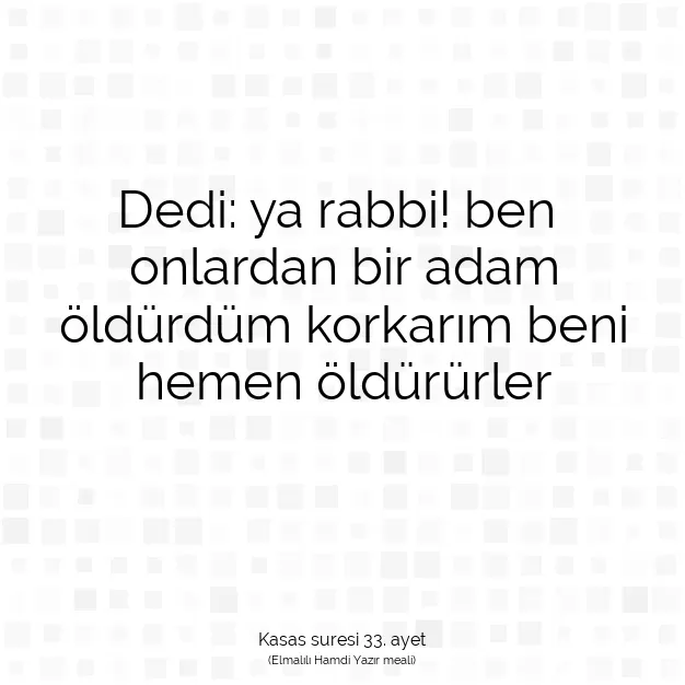 Ayetbul | Kuran Mealleri | Quran | Kasas suresi 33. ayet