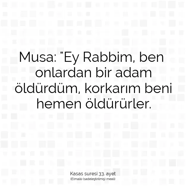 Ayetbul | Kuran Mealleri | Quran | Kasas suresi 33. ayet