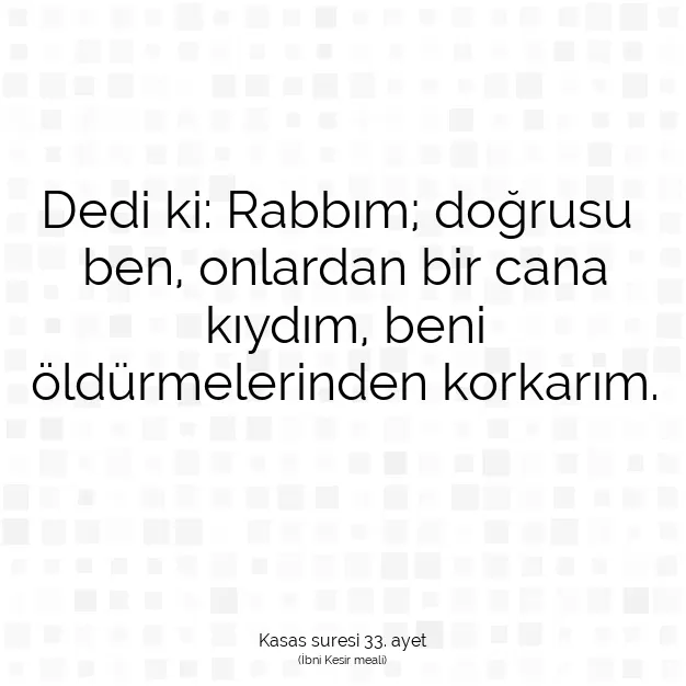 Ayetbul | Kuran Mealleri | Quran | Kasas suresi 33. ayet