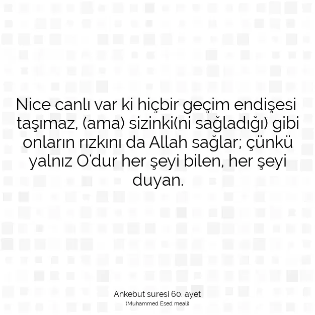 Ayetbul | Kuran Mealleri | Quran | Ankebut suresi 60. ayet