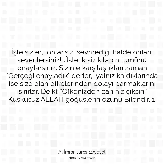 Ayetbul | Kuran Mealleri | Quran | Ali İmran suresi 119. ayet