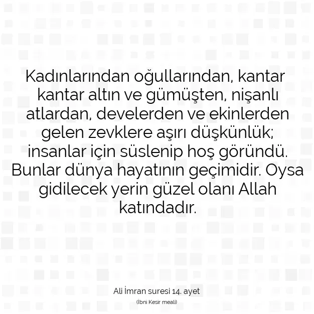 Ayetbul | Kuran Mealleri | Quran | Ali İmran suresi 14. ayet