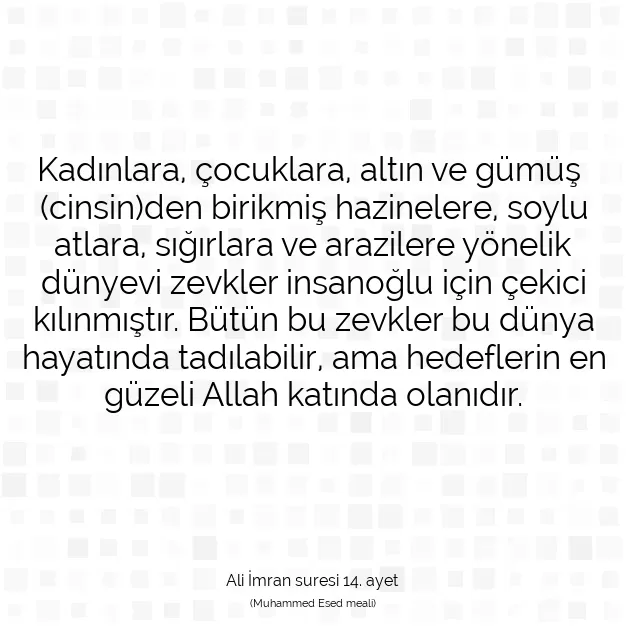 Ayetbul | Kuran Mealleri | Quran | Ali İmran suresi 14. ayet