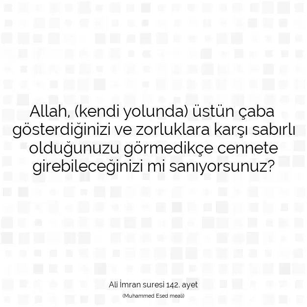 Ayetbul | Kuran Mealleri | Quran | Ali İmran suresi 142. ayet