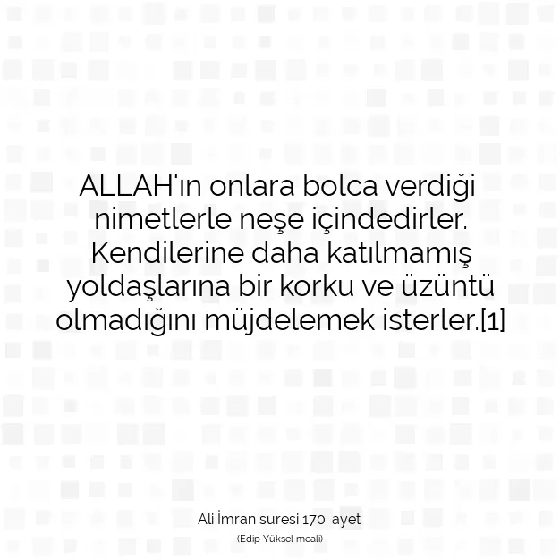 Ayetbul | Kuran Mealleri | Quran | Ali İmran suresi 170. ayet