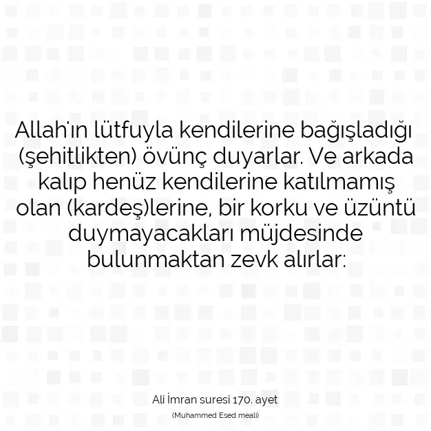 Ayetbul | Kuran Mealleri | Quran | Ali İmran suresi 170. ayet