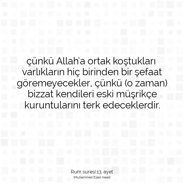 Ayetbul | Kuran Mealleri | Quran | Rum suresi 13. ayet