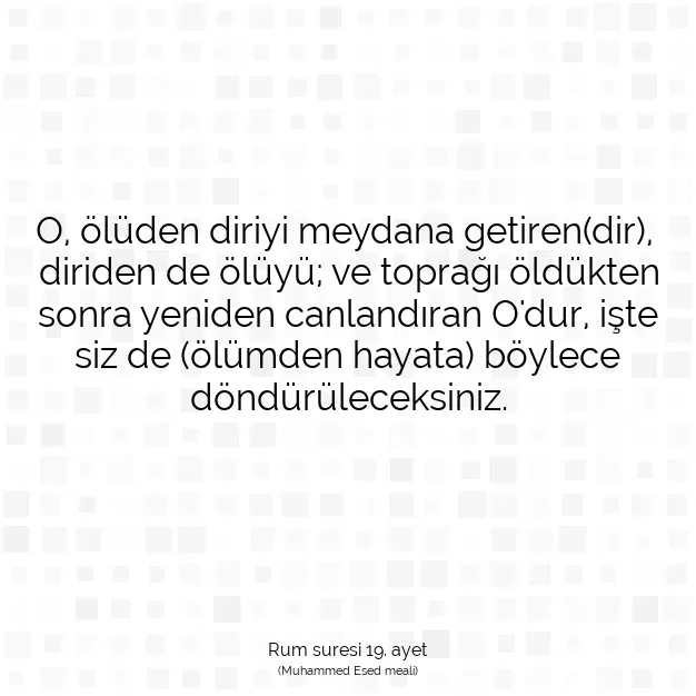 Ayetbul | Kuran Mealleri | Quran | Rum suresi 19. ayet