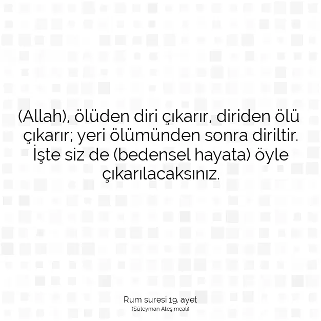 Ayetbul | Kuran Mealleri | Quran | Rum suresi 19. ayet