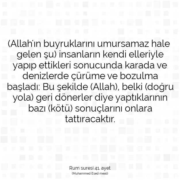 Ayetbul | Kuran Mealleri | Quran | Rum suresi 41. ayet