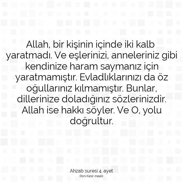 Ayetbul | Kuran Mealleri | Quran | Ahzab suresi 4. ayet