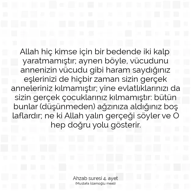 Ayetbul | Kuran Mealleri | Quran | Ahzab suresi 4. ayet