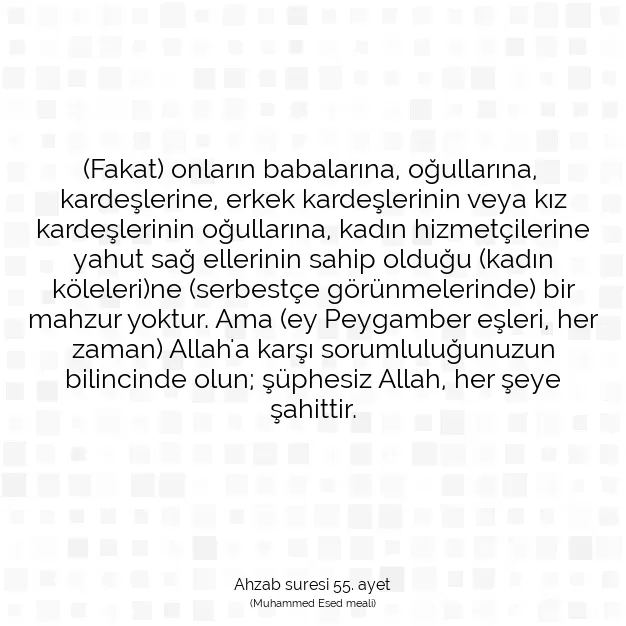 Ayetbul | Kuran Mealleri | Quran | Ahzab suresi 55. ayet