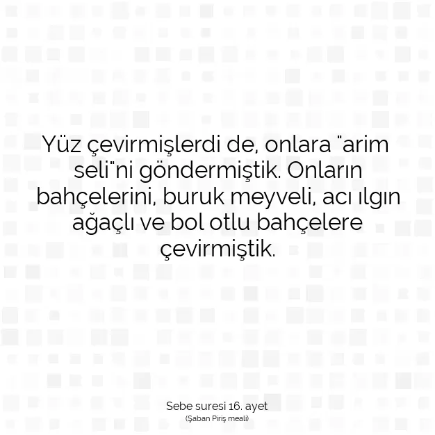 Ayetbul | Kuran Mealleri | Quran | Sebe suresi 16. ayet