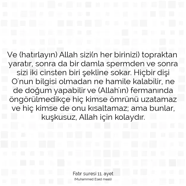 Ayetbul | Kuran Mealleri | Quran | Fatır suresi 11. ayet