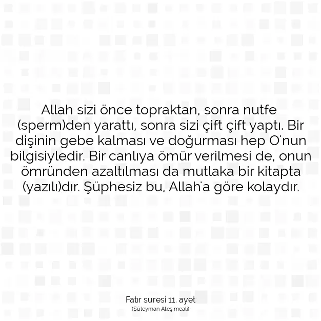 Ayetbul | Kuran Mealleri | Quran | Fatır suresi 11. ayet