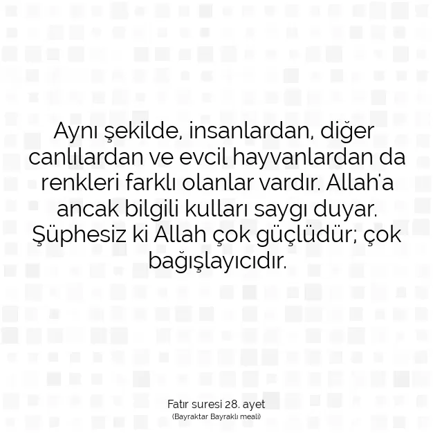 Ayetbul | Kuran Mealleri | Quran | Fatır suresi 28. ayet