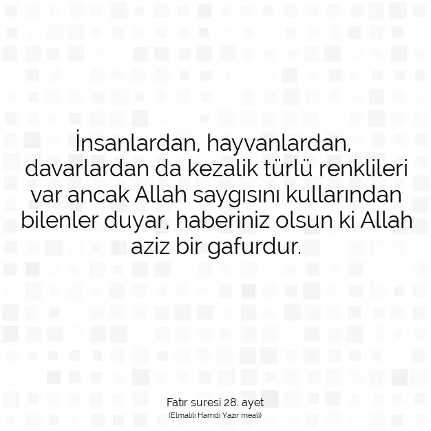 Ayetbul | Kuran Mealleri | Quran | Fatır suresi 28. ayet