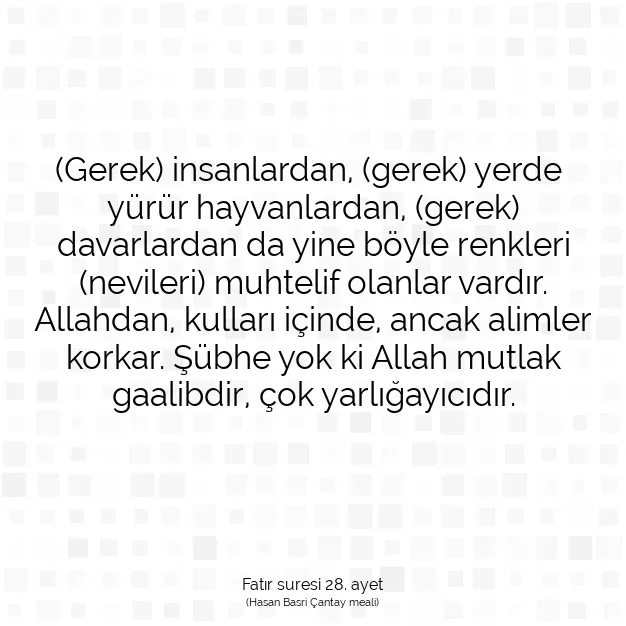 Ayetbul | Kuran Mealleri | Quran | Fatır suresi 28. ayet