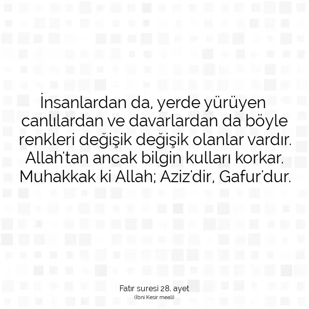 Ayetbul | Kuran Mealleri | Quran | Fatır suresi 28. ayet