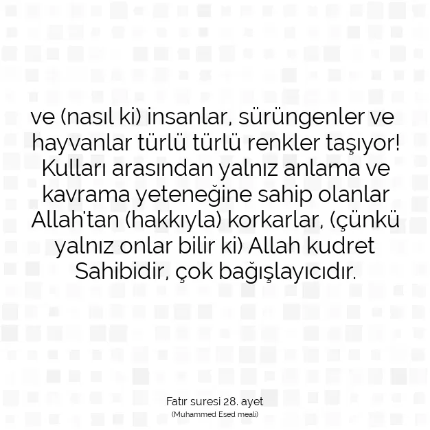 Ayetbul | Kuran Mealleri | Quran | Fatır suresi 28. ayet