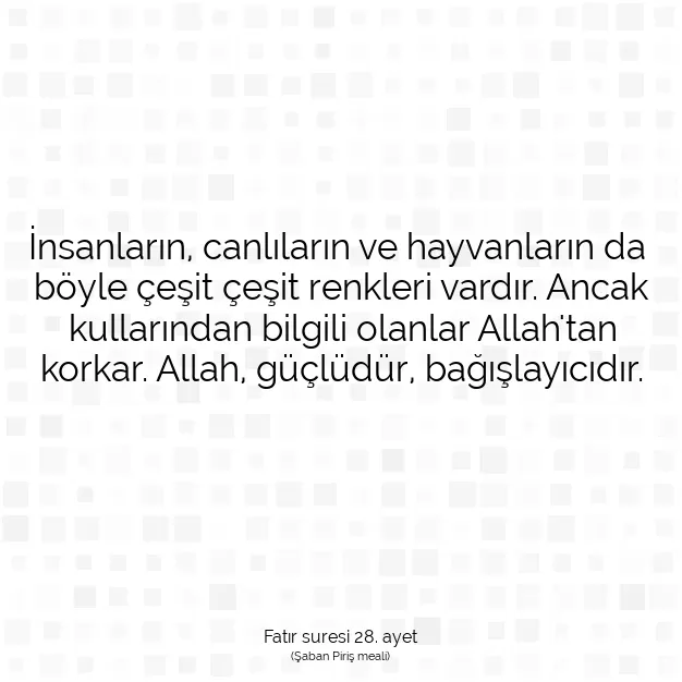 Ayetbul | Kuran Mealleri | Quran | Fatır suresi 28. ayet