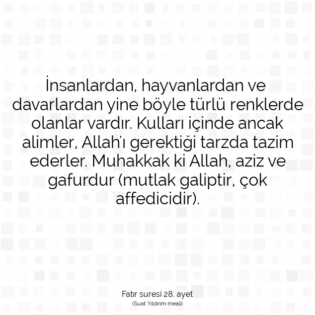 Ayetbul | Kuran Mealleri | Quran | Fatır suresi 28. ayet