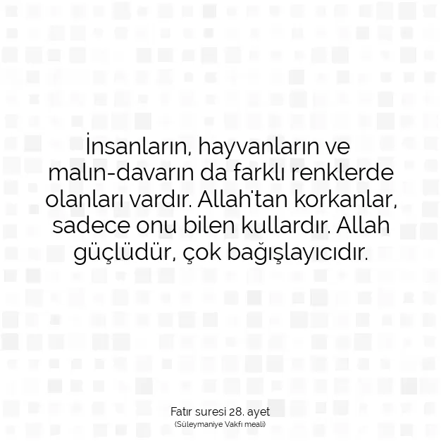 Ayetbul | Kuran Mealleri | Quran | Fatır suresi 28. ayet