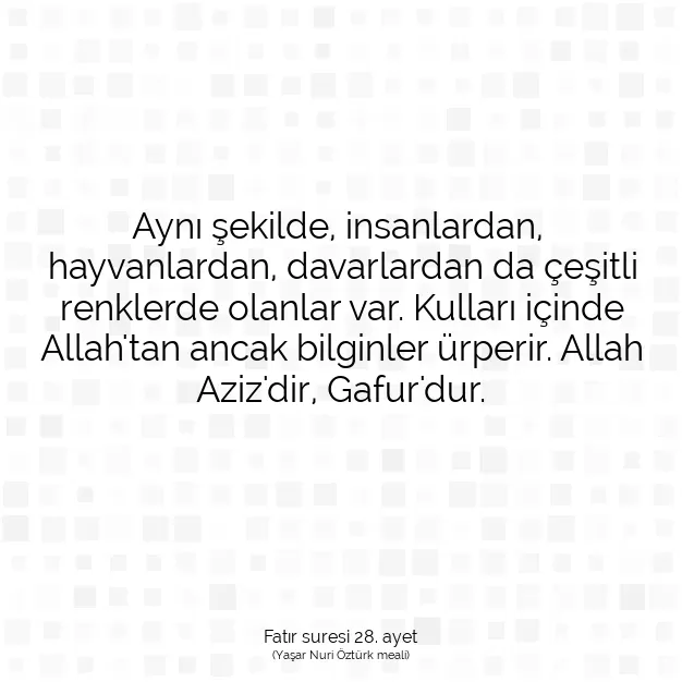 Ayetbul | Kuran Mealleri | Quran | Fatır suresi 28. ayet