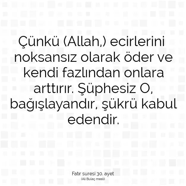 Ayetbul | Kuran Mealleri | Quran | Fatır suresi 30. ayet