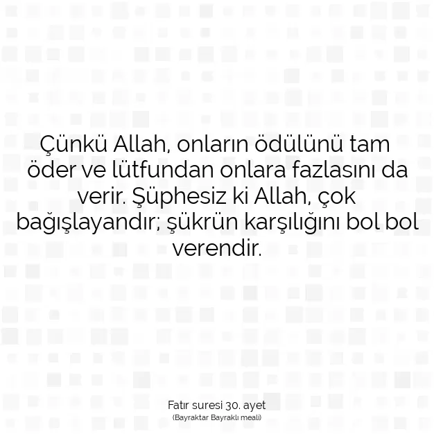 Ayetbul | Kuran Mealleri | Quran | Fatır suresi 30. ayet