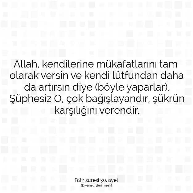 Ayetbul | Kuran Mealleri | Quran | Fatır suresi 30. ayet