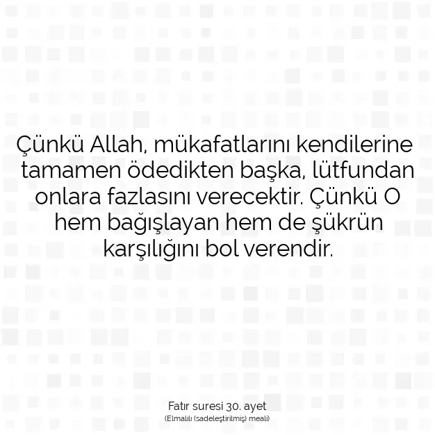 Ayetbul | Kuran Mealleri | Quran | Fatır suresi 30. ayet