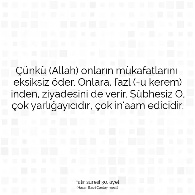 Ayetbul | Kuran Mealleri | Quran | Fatır suresi 30. ayet