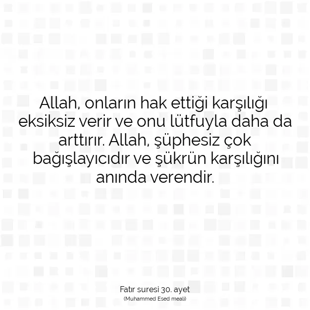 Ayetbul | Kuran Mealleri | Quran | Fatır suresi 30. ayet