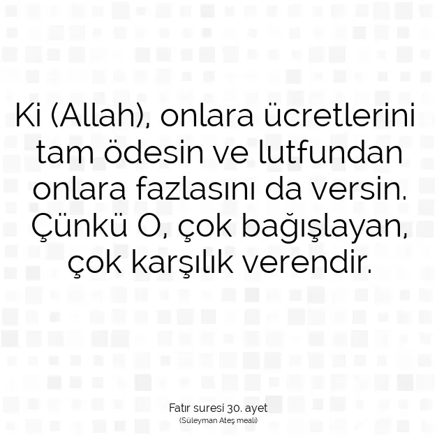 Ayetbul | Kuran Mealleri | Quran | Fatır suresi 30. ayet