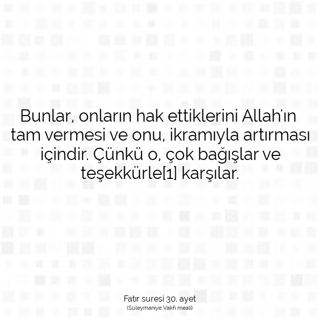 Ayetbul | Kuran Mealleri | Quran | Fatır suresi 30. ayet