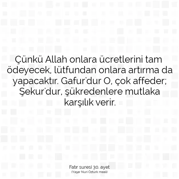 Ayetbul | Kuran Mealleri | Quran | Fatır suresi 30. ayet