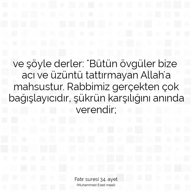 Ayetbul | Kuran Mealleri | Quran | Fatır suresi 34. ayet